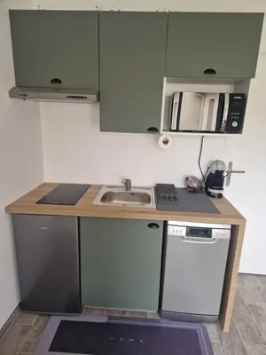 Cuisine ou kitchenette dans l'établissement Appartement des Aubépines