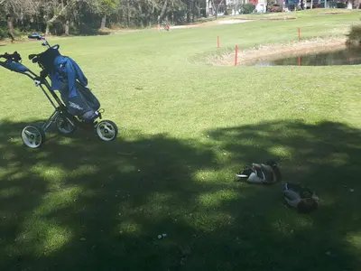 Golf sur le terrain de la villa ou à proximité