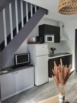 Cuisine ou kitchenette dans l'établissement Terrasses du lac appt