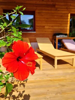 Jardin de l'établissement Villa éco-lodge sur pilotis - Piscine, Vélo, Plancha - entre Bayonne et Hossegor
