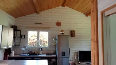 Télévision ou salle de divertissement dans l'établissement Maison chalet Soustons
