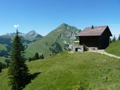 Paysage naturel près de l'appartement