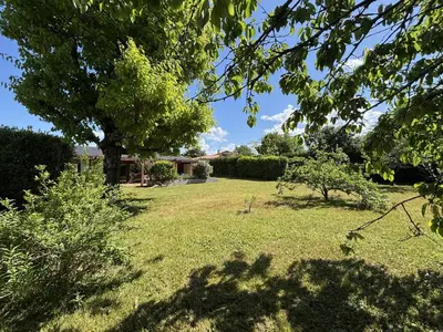 Jardin de l'établissement Maison Landaise d'Architecte - 8 Pers - Biscarrosse Bourg - FR-1-319-609
