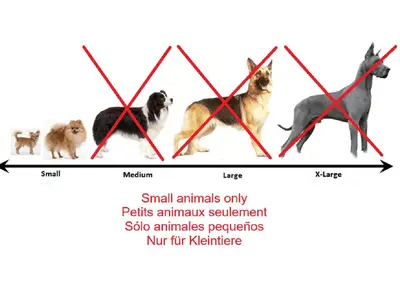 Animaux dans l'appartement ou à proximité