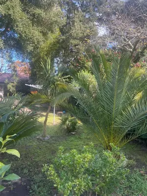 Jardin de l'établissement Location dans les Landes et le Pays basque