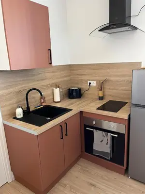 Cuisine ou kitchenette dans l'établissement Le Ptit Indus