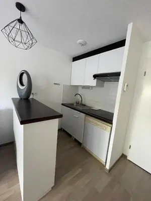 Cuisine ou kitchenette dans l'établissement Appart spacieux, lumineux & calme Environnement nature, piscine