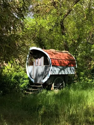 Jardin de l'établissement Maison ancienne dans parc boisé