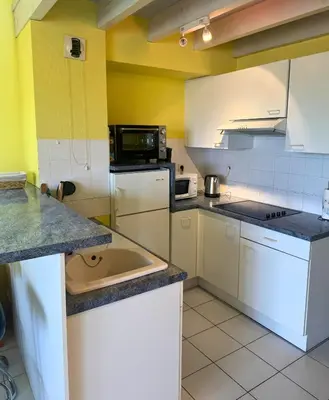 Cuisine ou kitchenette dans l'établissement L'Aurore - Terrasse - Duplex - Parking