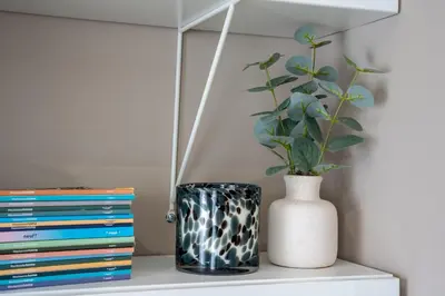 Bibliothèque dans l'appartement