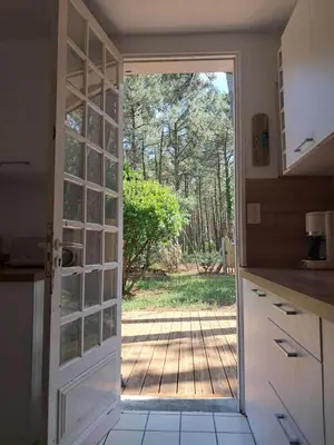 Cuisine ou kitchenette dans l'établissement Savannah - La maison des pins