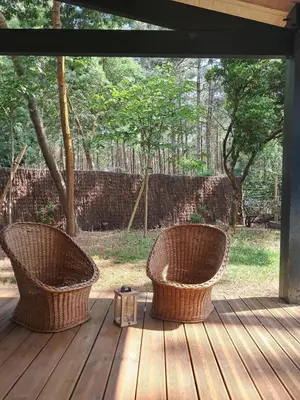 Jardin de l'établissement Savannah - La maison des pins