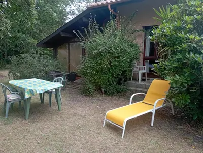 Jardin de l'établissement Charmant T1 avec jardin