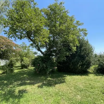 Paysage naturel près de la maison de vacances
