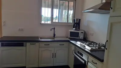 Cuisine ou kitchenette dans l'établissement La Maison LEON