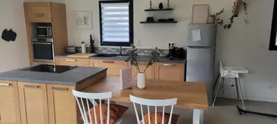 Cuisine ou kitchenette dans l'établissement Villa Voltaire