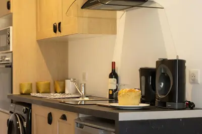 Cuisine ou kitchenette dans l'établissement Le Mermoz - idéal curistes - wifi - clim - jardin - parking - proche centre