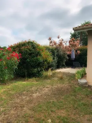 Jardin de l'établissement Maison paisible avec jardin - proche du lac de Sanguinet