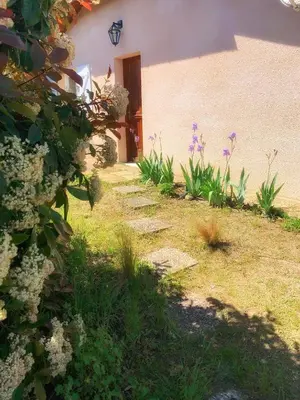 Jardin de l'établissement Maison paisible avec jardin - proche du lac de Sanguinet