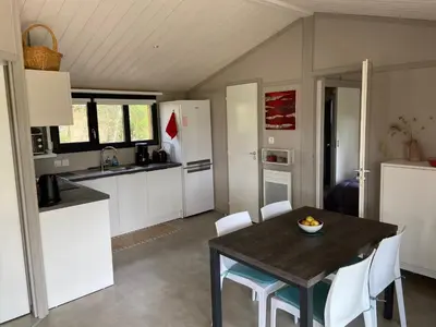 Cuisine ou kitchenette dans l'établissement SUPERBE CHALET sous les pins