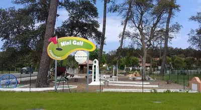 Jardin de l'établissement SUPERBE CHALET sous les pins