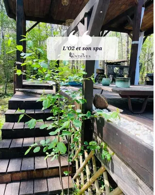 Jardin de l'établissement L'O2 et son Spa, cabane de verre et de bois