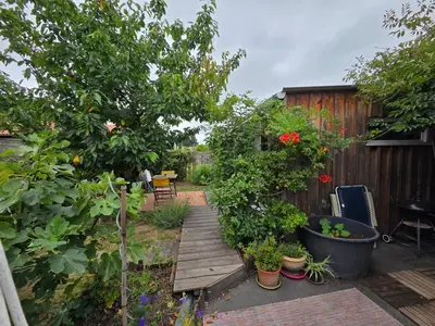 Jardin de l'établissement Studio bois avec terrasse et jardin bassin et océan