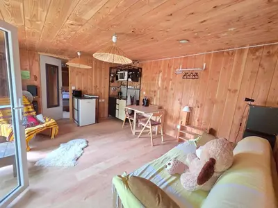 Cuisine ou kitchenette dans l'établissement Studio bois avec terrasse et jardin bassin et océan