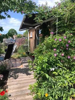 Jardin de l'établissement Deux studios bois terrasse jardin bassin et océan