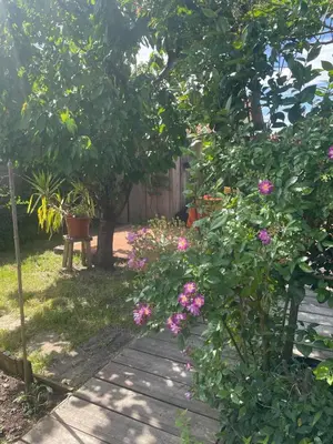 Jardin de l'établissement Deux studios bois terrasse jardin bassin et océan