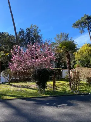 Jardin de l'établissement havre de paix