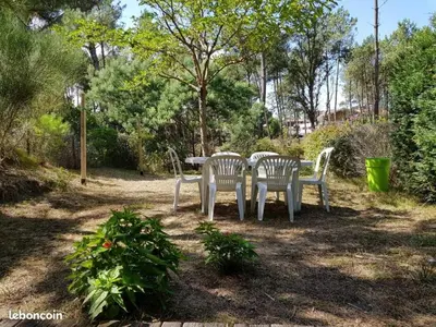 Jardin de l'établissement Le Grand bleu
