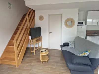 Télévision ou salle de divertissement dans l'établissement Plein centre Mimizan Bourg