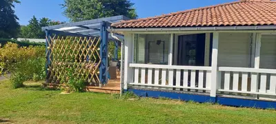 Jardin de l'établissement Joli chalet exotique à Biscarrosse-Lac