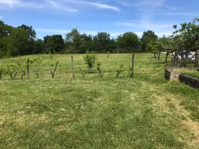 Jardin de l'établissement PARKING pour petit transporteur de passage, calme no stress assuré