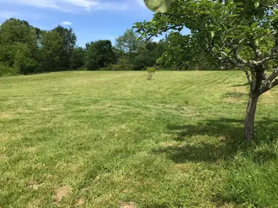 Paysage naturel près de le camping