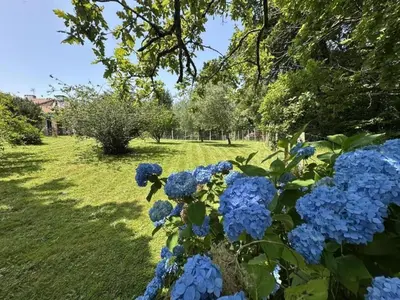 Jardin de l'établissement Gite poupan