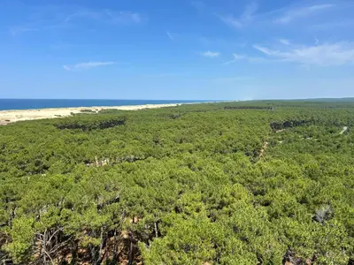 Paysage naturel près de le camping