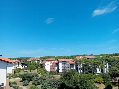 Paysage naturel près de l'appartement