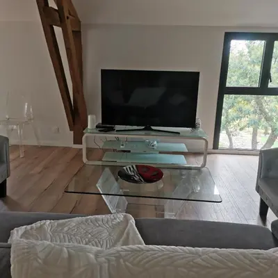 Télévision ou salle de divertissement dans l'établissement Domaine du Prince