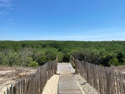 Paysage naturel près de l'appartement