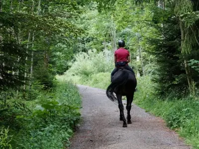 Équitation au sein de le camping ou à proximité