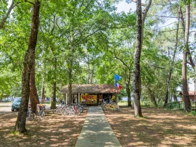 Jardin de l'établissement Mobil home avec terrasse à Sainte-Eulalie-en-Born - API-1-52-682