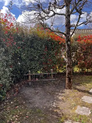 Jardin de l'établissement Bungalow bord de Lac Biscarosse