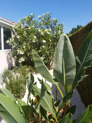 Jardin de l'établissement Le Soleil Couchant