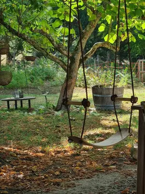 Jardin de l'établissement L'écrin du Temps