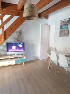 Télévision ou salle de divertissement dans l'établissement Le petit paradis