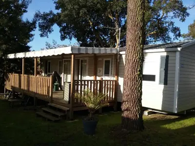 Jardin de l'établissement MHT019 3 chambres dont suite parental et 2 salles de bain dans camping 4 étoiles