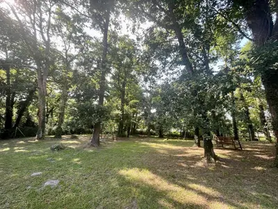 Jardin de l'établissement Maison au calme, accès direct lac et forêt