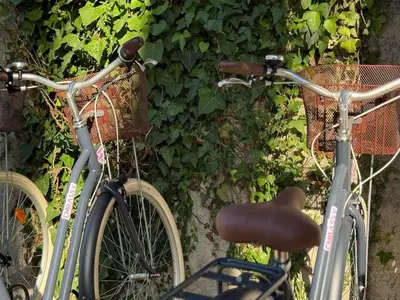 Vélo sur le terrain de l'établissement Cozy apartment with outdoor terrace ou dans les environs